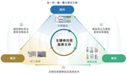 海大國際遞表港交所 分拆自海大集團(tuán)，2024年凈利潤強(qiáng)勢翻倍